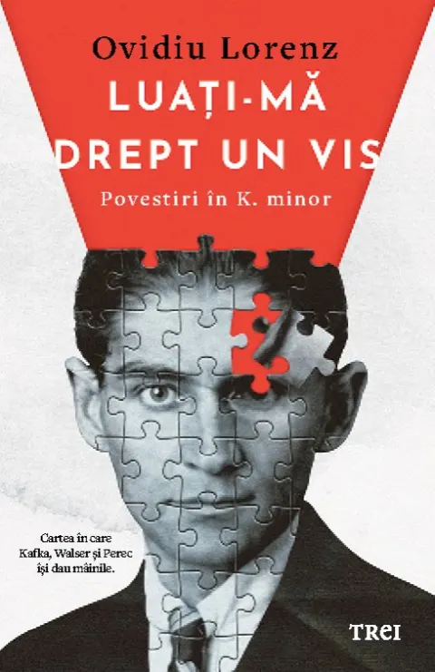 Coperta cărții Luați-mă drept un vis. Povestiri în K. minor