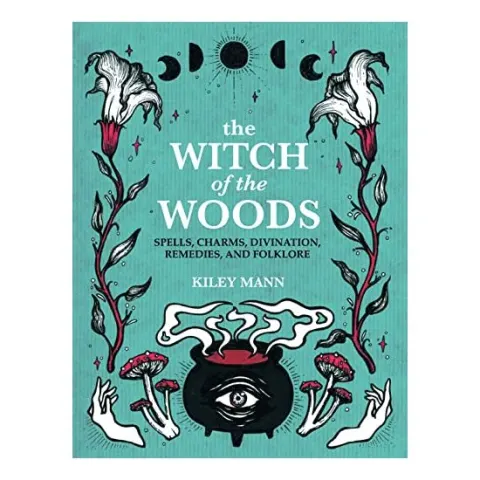 Coperta cărții Witch of the Woods
