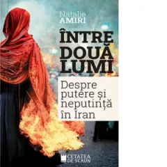 Coperta cărții Intre doua lumi. Putere si neputinta in Iran