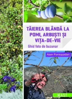 Coperta cărții Taierea blanda la pomi, arbusti si vita-de-vie