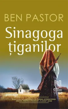 Coperta cărții Sinagoga țiganilor