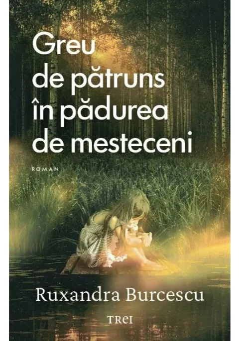Coperta cărții Greu de patruns in padurea de mesteceni