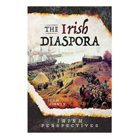 Coperta cărții Irish Diaspora