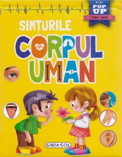 Coperta cărții Corpul uman. Simturile