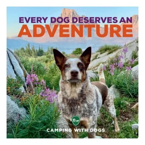 Coperta cărții Every Dog Deserves an Adventure