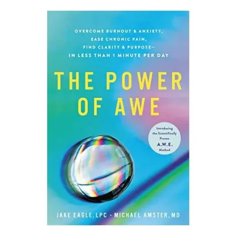 Coperta cărții Power of Awe, Jake Eagle, Michael Amster