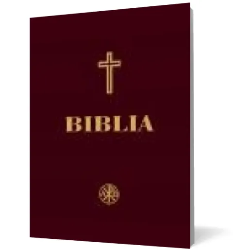 Coperta cărții Biblia (Ediție a Sfântului Sinod) (Format A4)