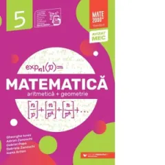Coperta cărții Matematica. Aritmetica, geometrie. Clasa a V-a. Mate 2000 - Standard