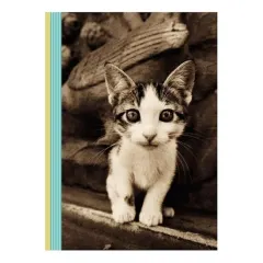 Coperta cărții Kitten Smitten Journal