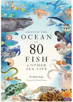 Coperta cărții Around the ocean in 80 fish and other sea life