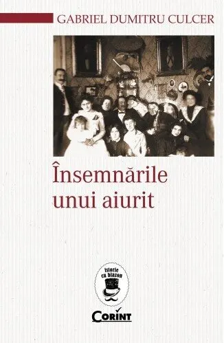 Coperta cărții Însemnările unui aiurit