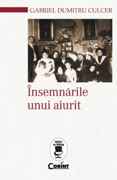 Coperta cărții Însemnările unui aiurit