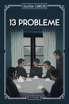 Coperta cărții 13 probleme