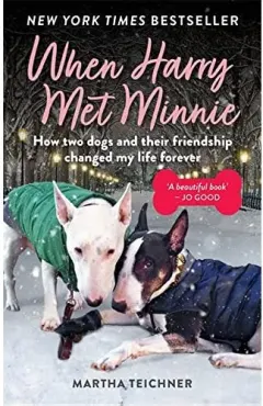 Coperta cărții When Harry Met Minnie