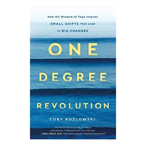 Coperta cărții One Degree Revolution