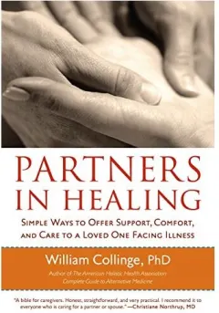 Coperta cărții Partners in healing