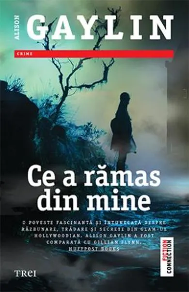 Coperta cărții Ce a ramas din mine