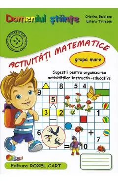 Coperta cărții Domeniul stiinte. Activitati matematice - Grupa mare - Cristina Beldianu, Estera Tintesan