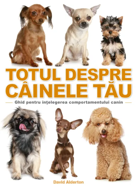 Coperta cărții Totul despre câinele tău