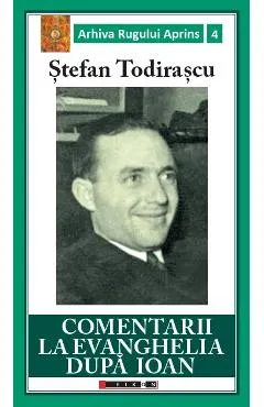 Coperta cărții Comentarii la Evanghelia dupa Ioan