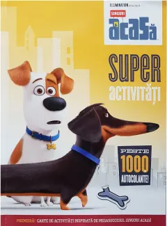 Coperta cărții Singuri acasă. Superactivități. Peste 1000 de autocolante