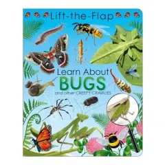 Coperta cărții Lift the Flap Activity Learn About Bugs, Page Publications