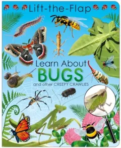 Coperta cărții Lift the Flap Activity Learn About Bugs, Page Publications