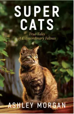 Coperta cărții Super cats: true tales of extraordinary felines