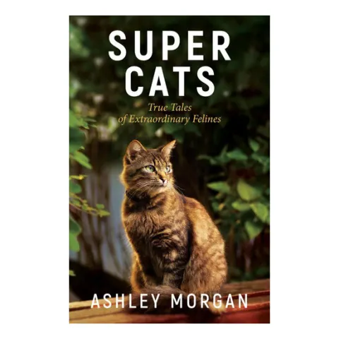 Coperta cărții Super cats: true tales of extraordinary felines