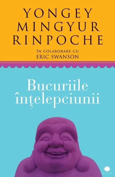 Coperta cărții Bucuriile înțelepciunii