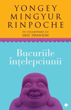Coperta cărții Bucuriile înțelepciunii