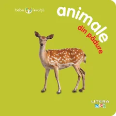 Coperta cărții Bebe învață: Animale din pădure