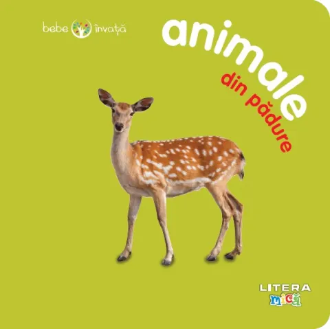 Coperta cărții Bebe învață: Animale din pădure