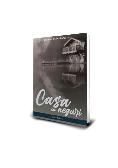 Coperta cărții Casa cu neguri
