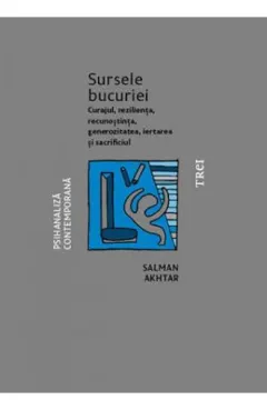 Coperta cărții Sursele bucuriei