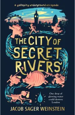 Coperta cărții The City of Secret Rivers