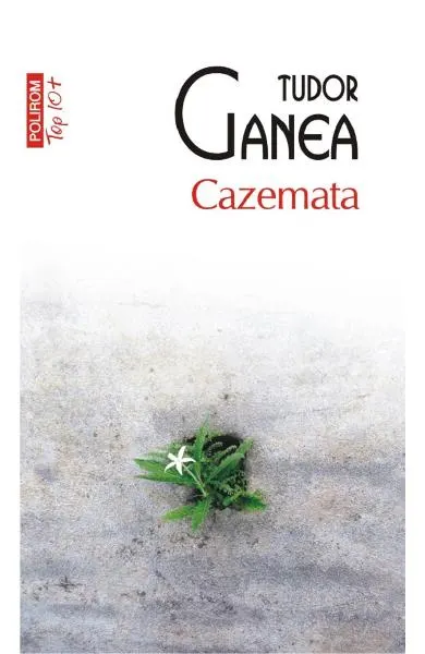 Coperta cărții Cazemata