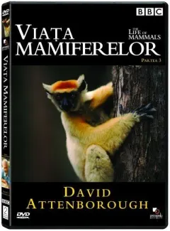 Coperta cărții Viata mamiferelor, partea C