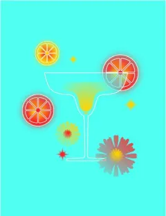 Coperta cărții Cocktail Journal