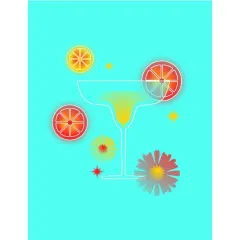 Coperta cărții Cocktail Journal