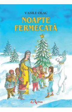 Coperta cărții Noapte fermecata