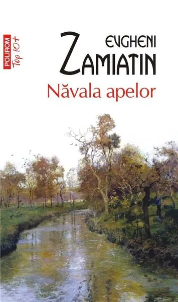 Coperta cărții Năvala apelor
