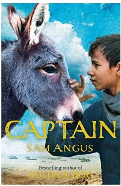 Coperta cărții Captain