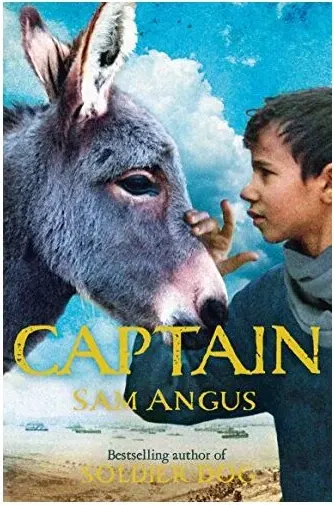 Coperta cărții Captain