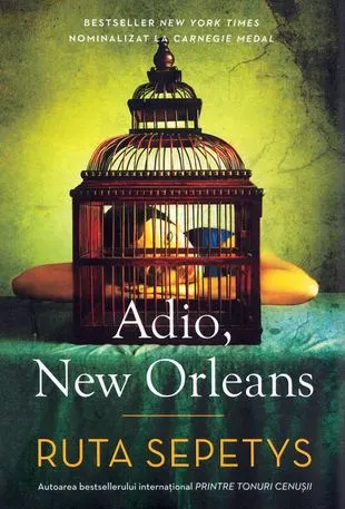 Coperta cărții Adio, New Orleans