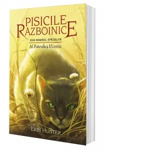 Coperta cărții Pisicile razboinice - Sub semnul stelelor. Cartea a XIX-a: Al Patrulea Ucenic (volumul 19)