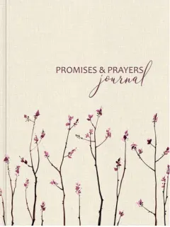 Coperta cărții Promises and Prayers (R) Journal