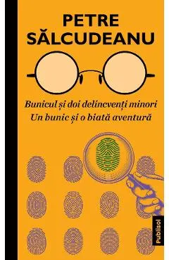 Coperta cărții Bunicul si doi delincventi minori. Un bunic si o biata aventura