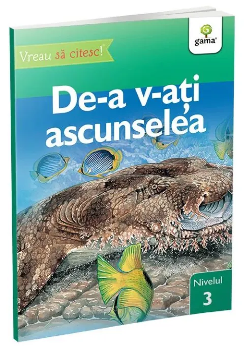 Coperta cărții De-a v-ati ascunselea • nivelul 3