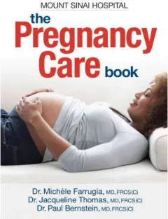 Coperta cărții The Pregnancy Care Book
